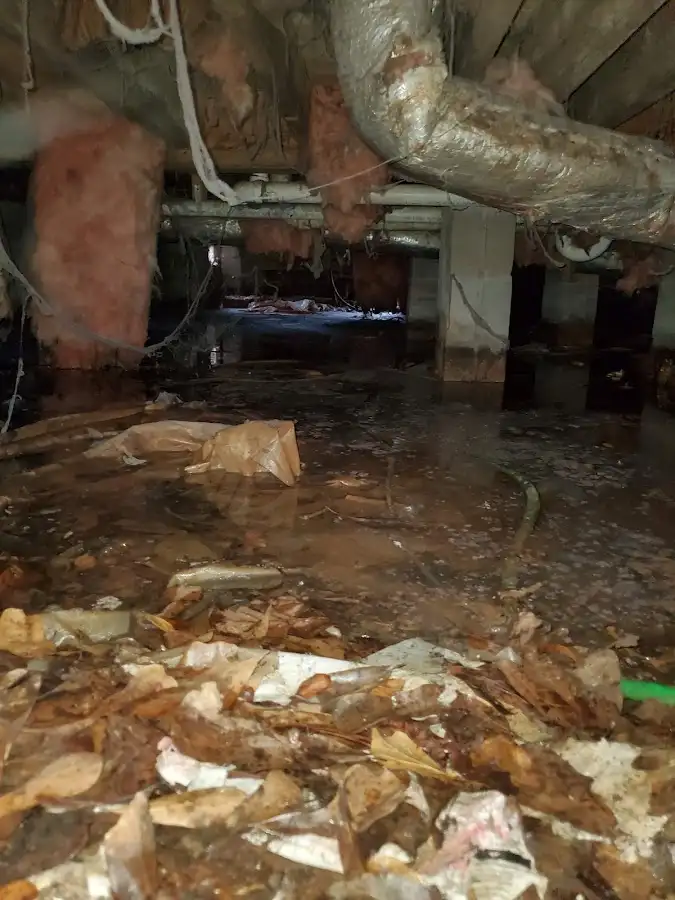 Crawl space flood assessment for Commercial Water Damage Restoration in Laurel