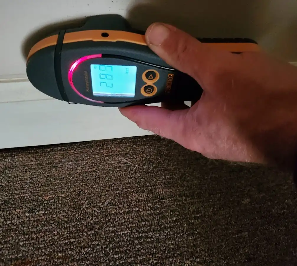 Moisture detection at baseboard during Burst Pipe Cleanup in Laurel