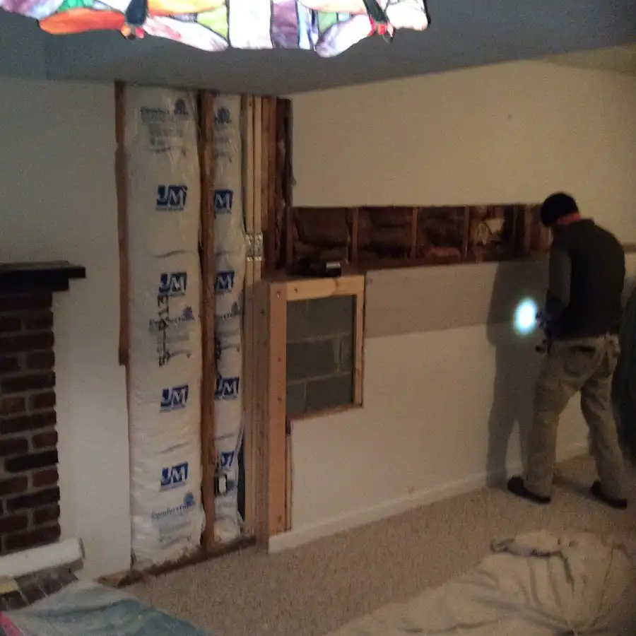 Restoration technician inspecting water damage in Laurel